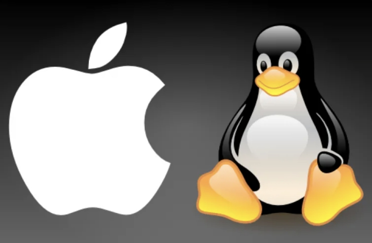 Пошаговая установка 1С:Предприятие на Mac Os или на Linux