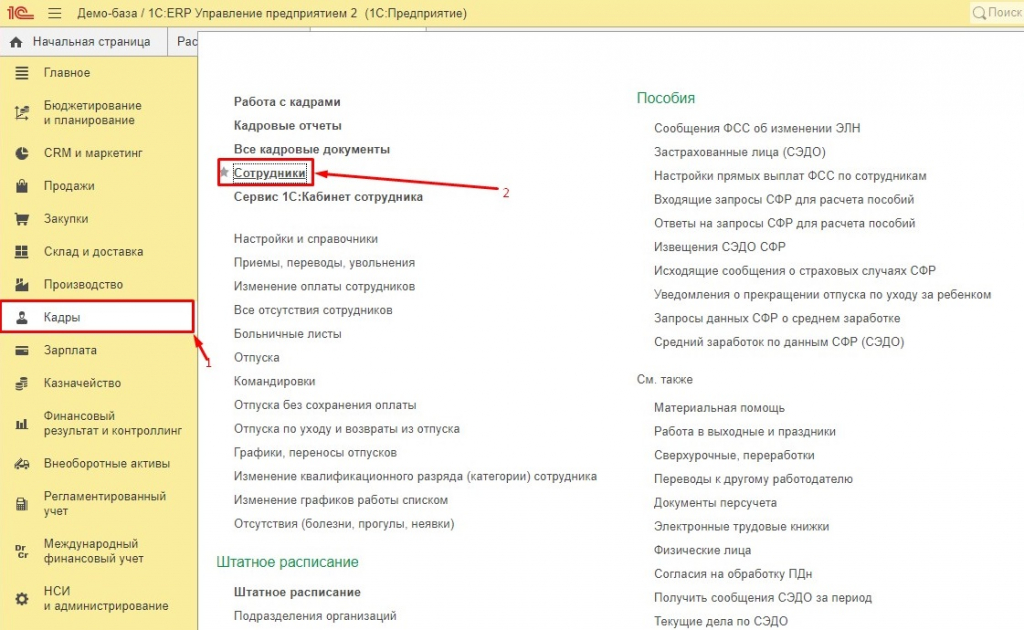 кадры